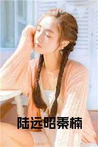 陆远昭秦楠
