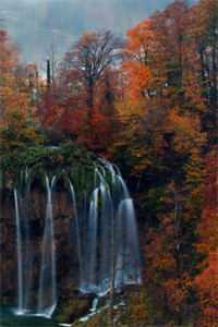 姜舒郁峥小说全集阅读