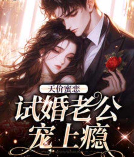 天价蜜恋：试婚老公宠上瘾
