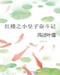 星碎时空最新章节免费阅读